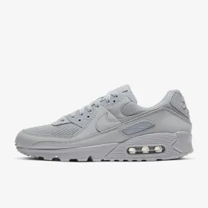 Air Max 90 (Wolf Grey)
