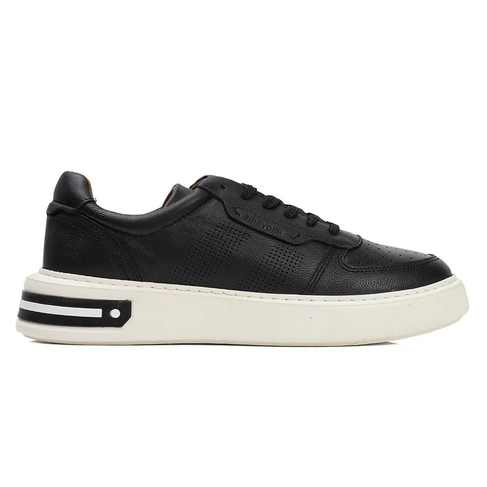 Casual Stylish Sneakers