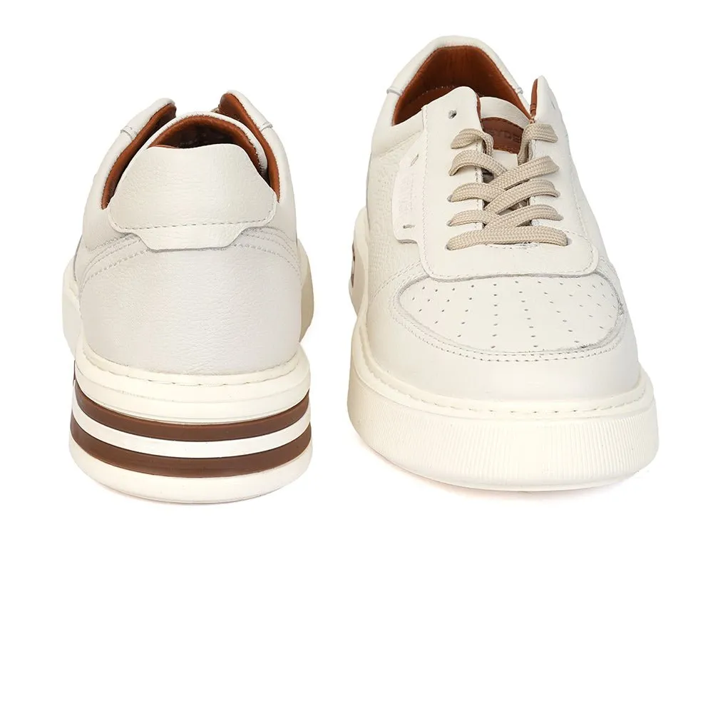 Casual Stylish Sneakers